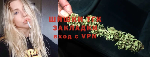 гидра Богородицк