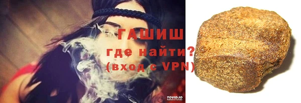 гидра Богородицк