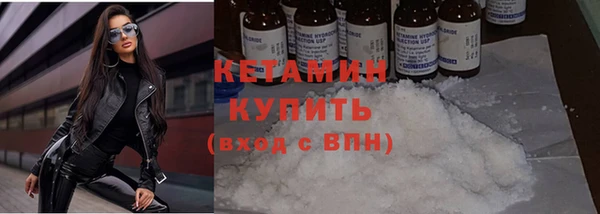 гидра Богородицк