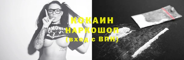 гидра Богородицк
