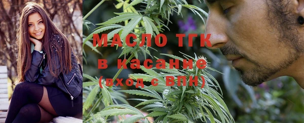 тгк Богданович