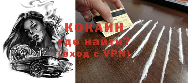 гидра Богородицк