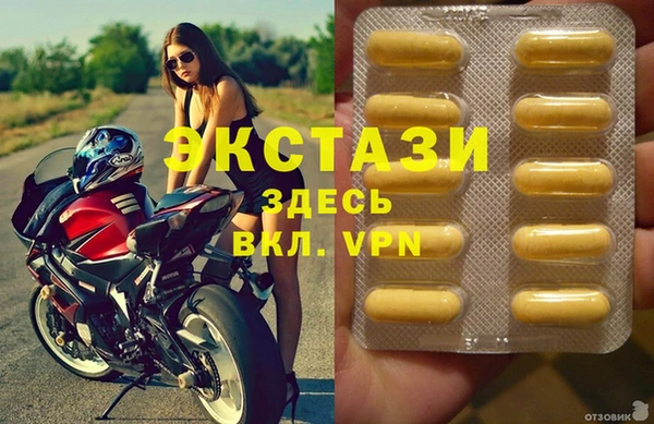 гидра Богородицк