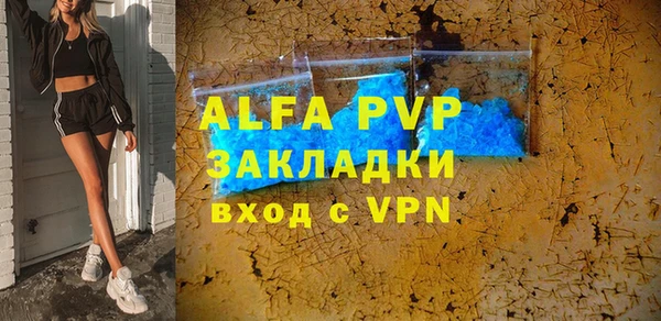 гидра Богородицк