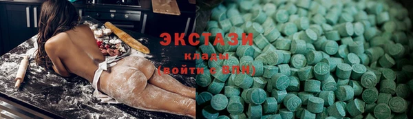 гидра Богородицк
