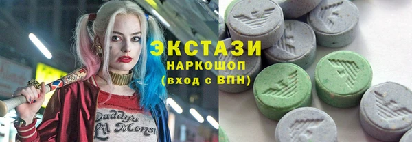 гидра Богородицк