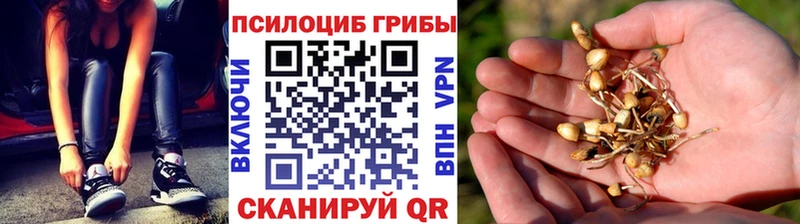 Псилоцибиновые грибы мицелий  наркота  Донецк 